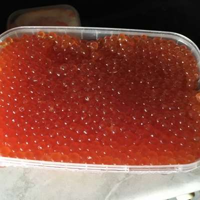 salmon Caviar Profile Picture
