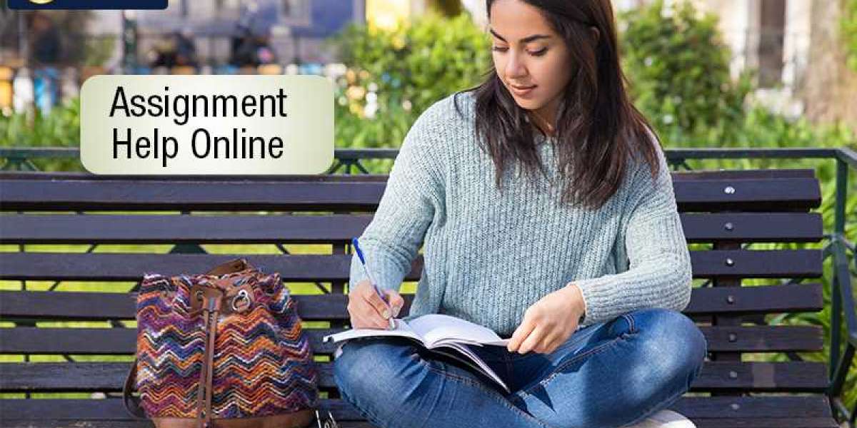Better marks with the provision of online assignment help services in USA