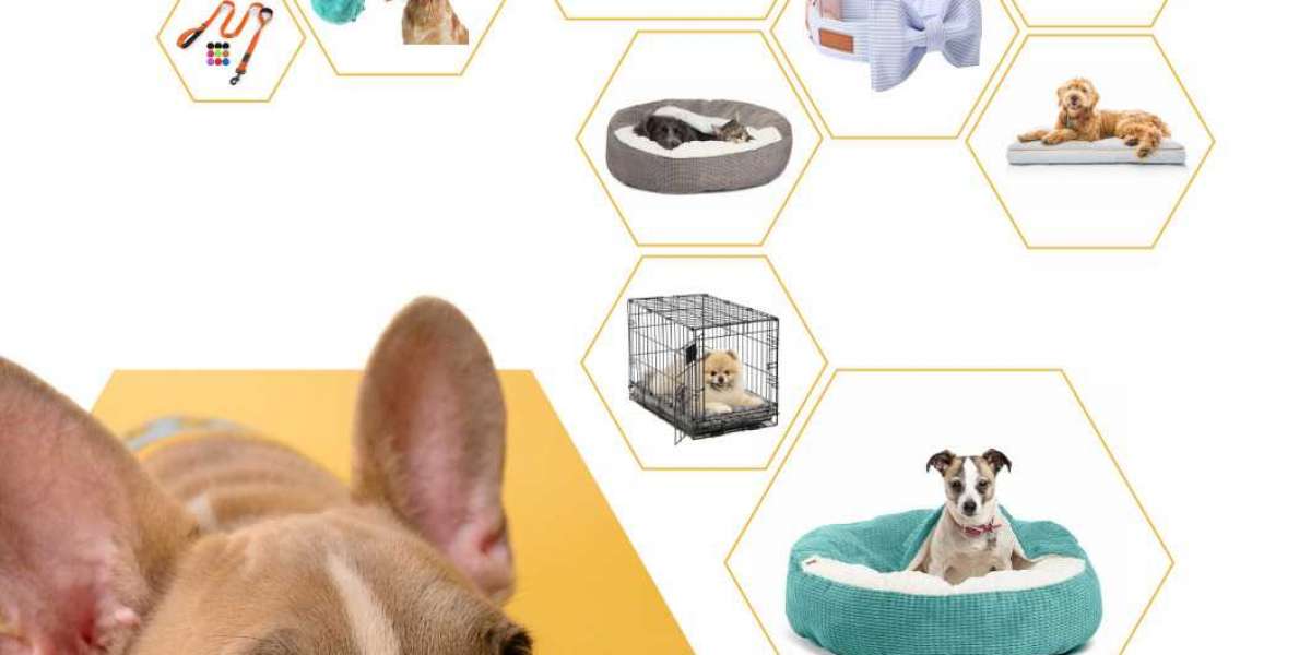 Essential Small Animal Supplies For Best Pet Care