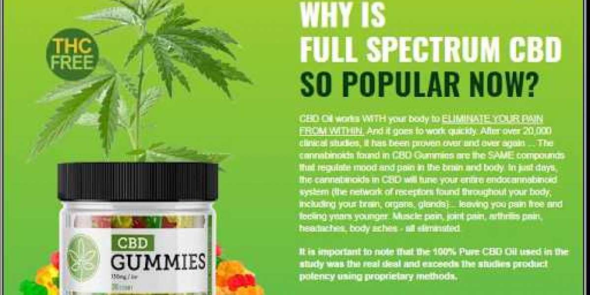 5 Reasons Why Tiger Woods CBD Gummies Is Common In USA.