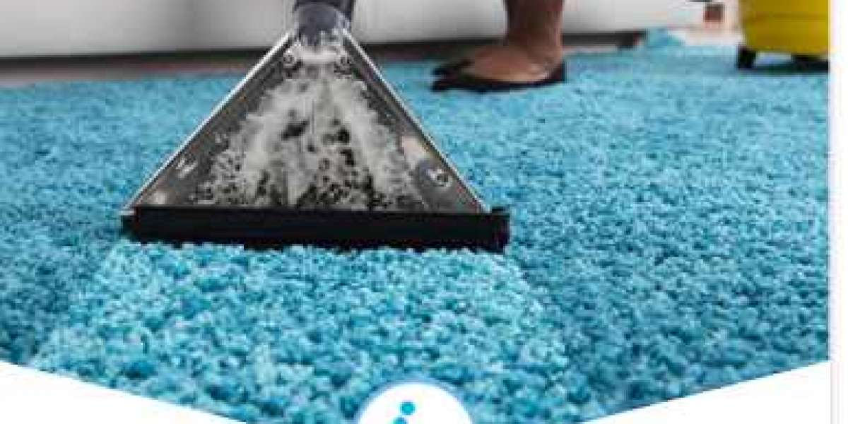 Professional Carpet Cleaning in Milton