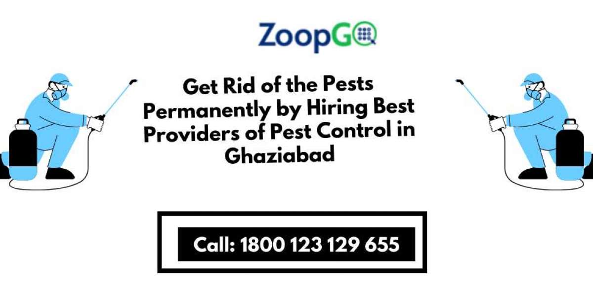 Get Rid of the Pests Permanently by Hiring Best Providers of Pest Control in Ghaziabad