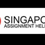 Singapore Assignment Profile Picture