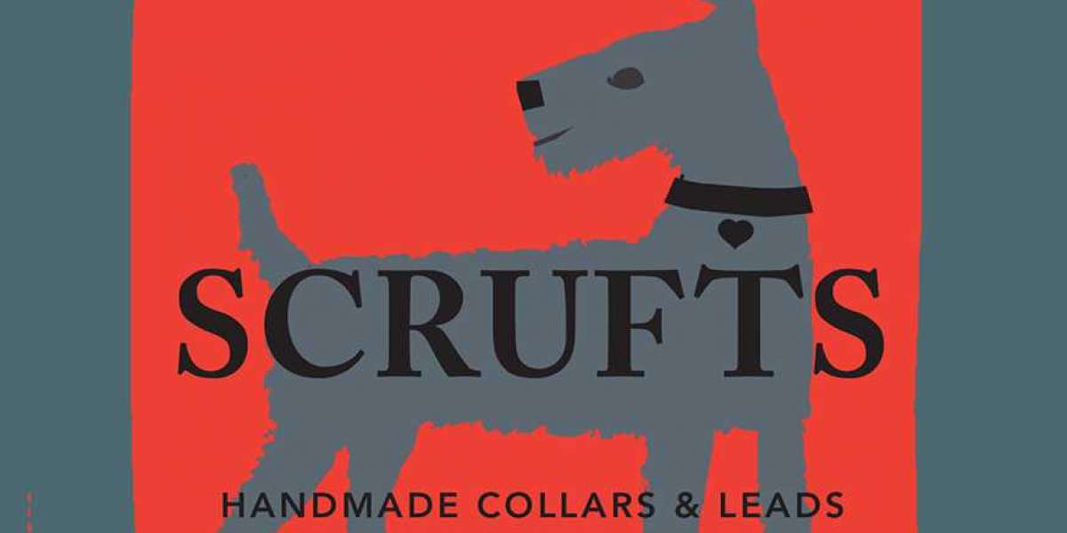 Best Dog Collars Guide 2022: How to Choose the Right Dog Collar
