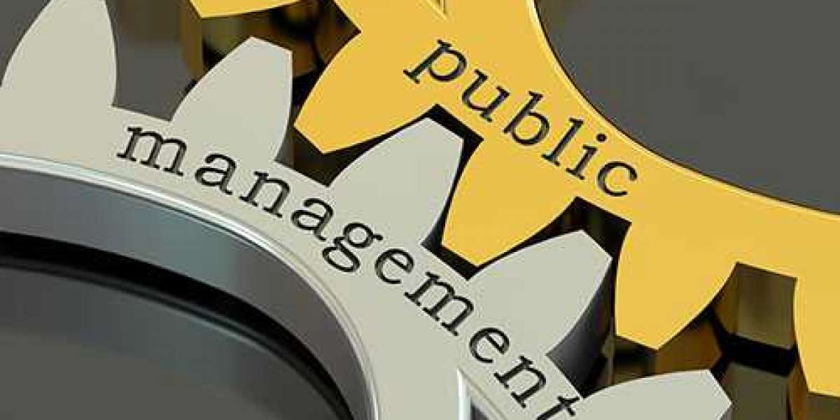 All About Bachelor of Public Management