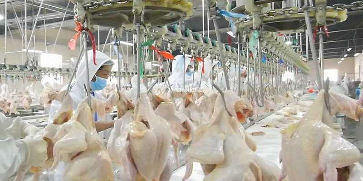 Poultry Processing Equipment Market: Notable Developments & Geographical Outlook 2023 to 2033