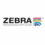 zebraprint Zebraprint Profile Picture