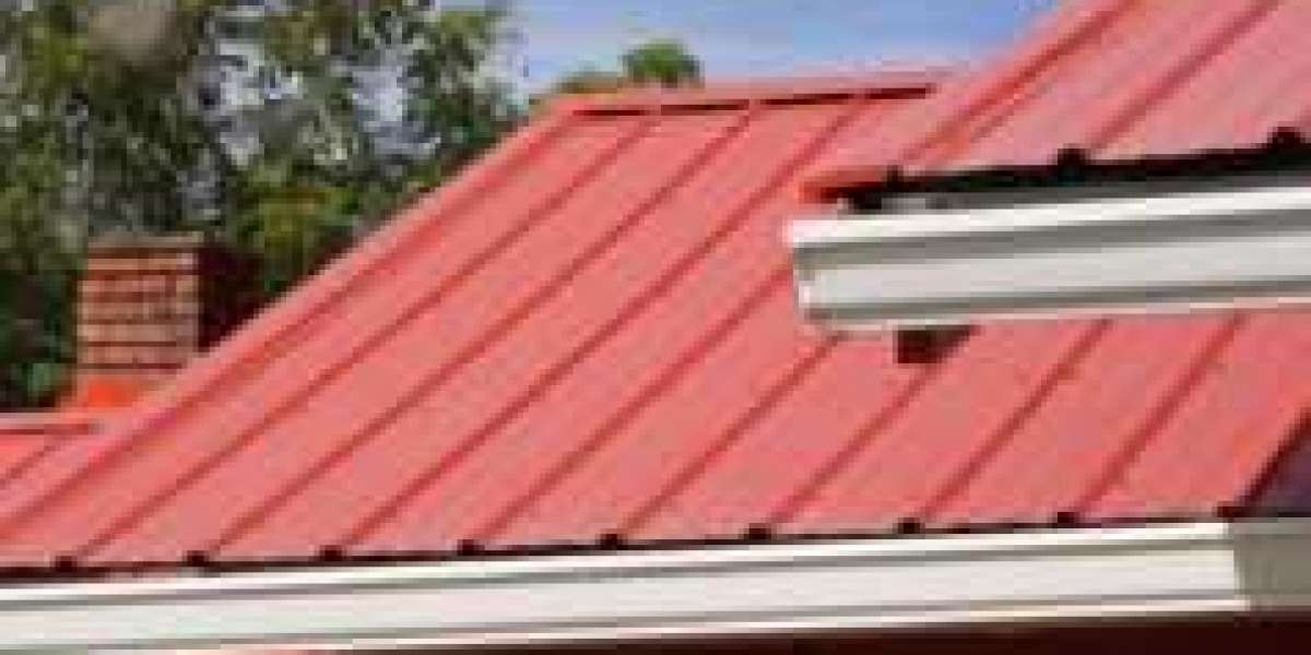 The Importance of a Professional Roofer
