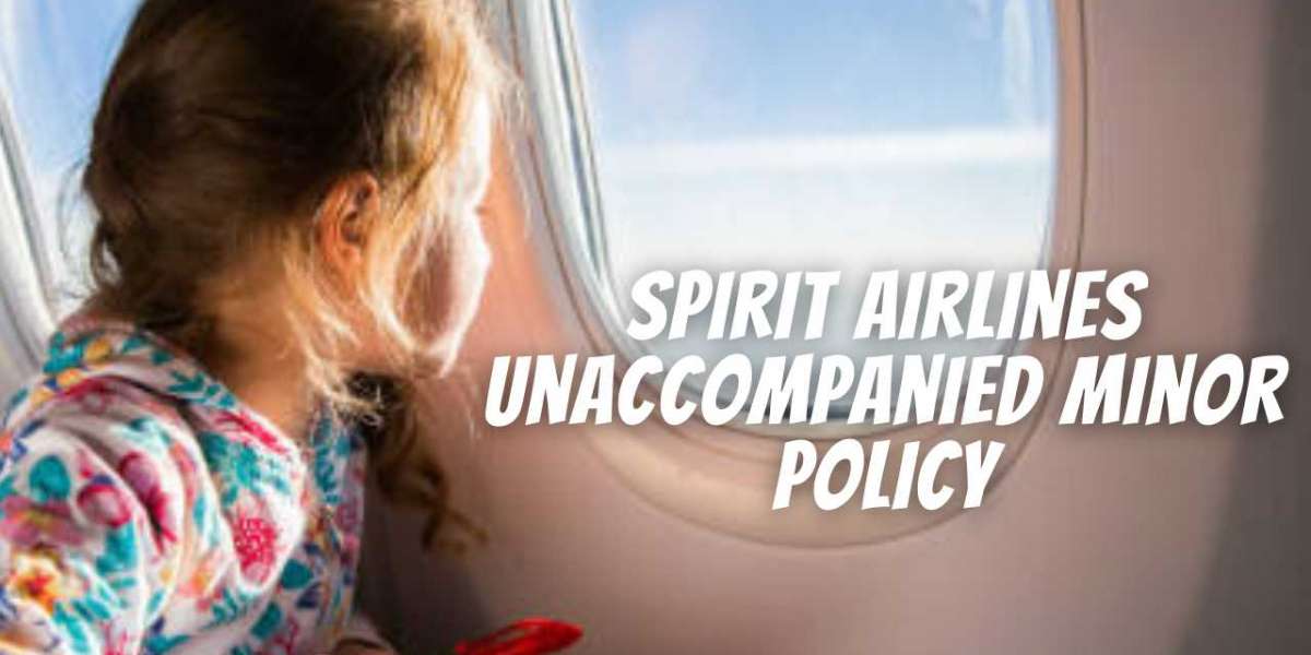 Terms and Conditions to Purchase Spirit Unaccompanied Minor Fare