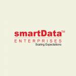 smartData Enterprises Inc Profile Picture