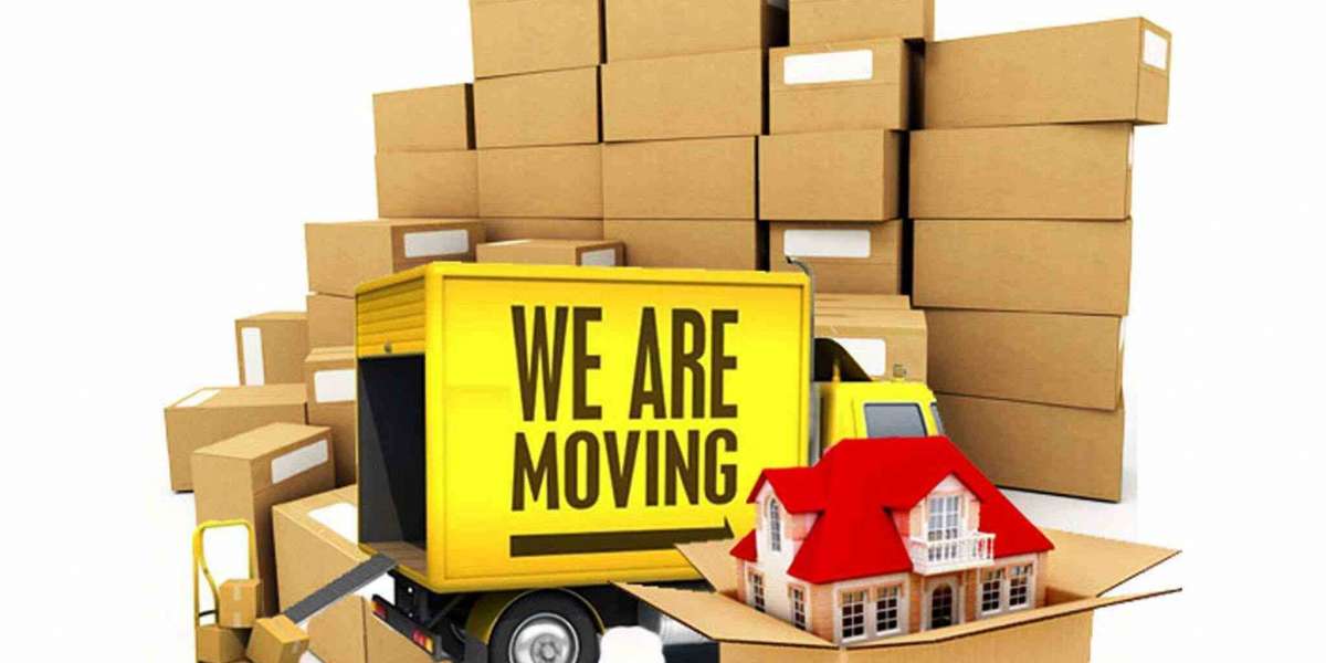 Useful Tips For Efficient Velachery Packers And Movers Tracking