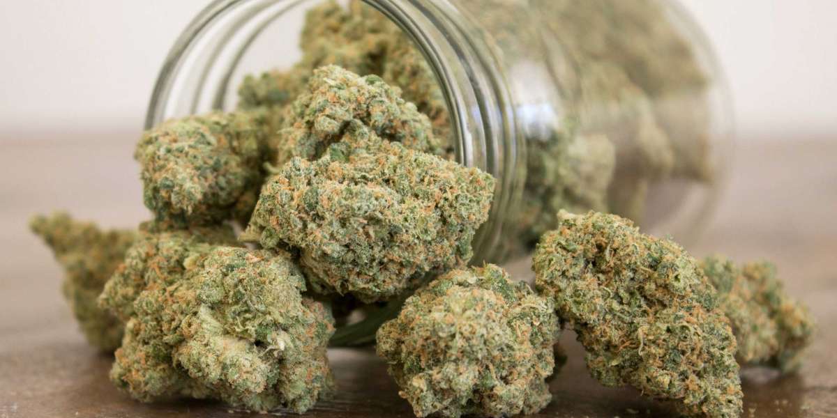 Indica Weed: Upper or Downer? The Truth About Its Effects