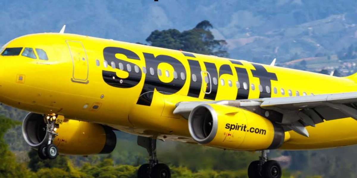 Spirit Airlines Unaccompanied Minor