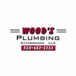 Woods Plumbing Enterprises LLC Profile Picture