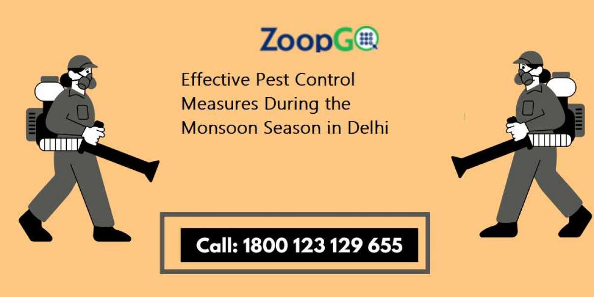 Effective Pest Control Measures During the Monsoon Season in Delhi