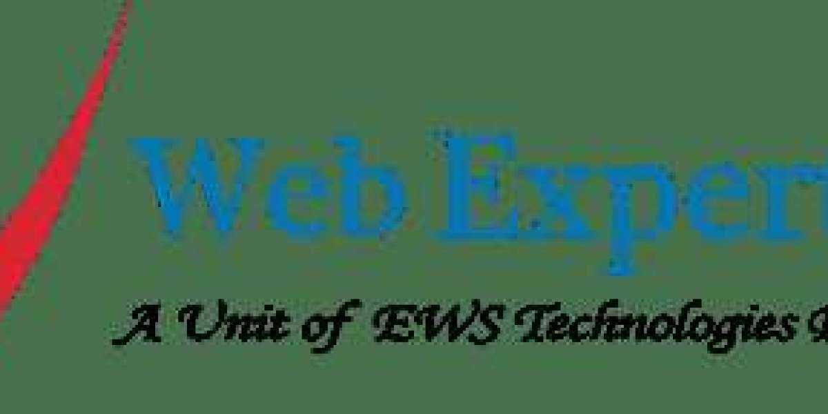 web development company in Delhi|web development company in India