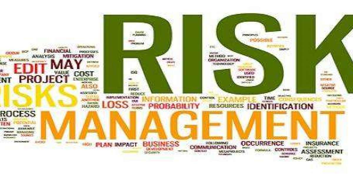 Risk Management Assignment Help Online