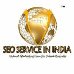 Ecommerce SEO Services India Profile Picture