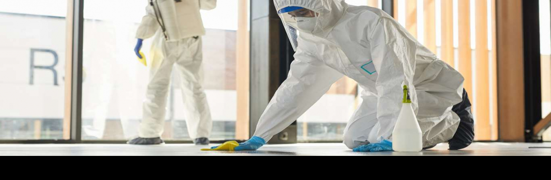 Art Cleaning and Maintenance Services Cover Image