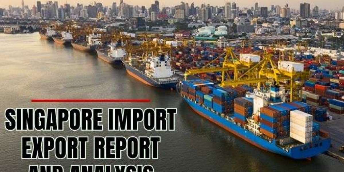 Navigating Singapore's Export Landscape: A Closer Look at the Numbers