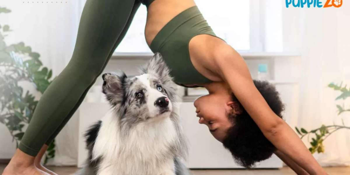 Puppy Yoga: The Perfect Way to De-Stress for Pet Lovers?? Puppiezo
