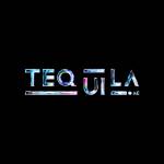 Techquila Web Design Company Profile Picture
