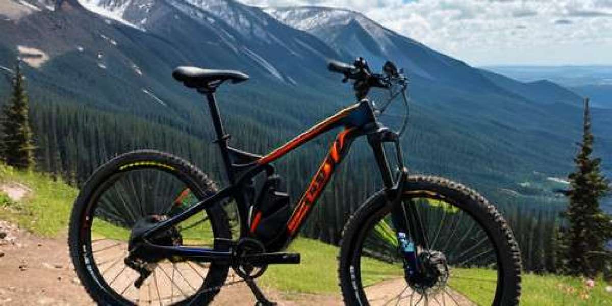 Carbon Fibre Mountain Bike
