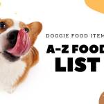 doggie fooditems01 Profile Picture