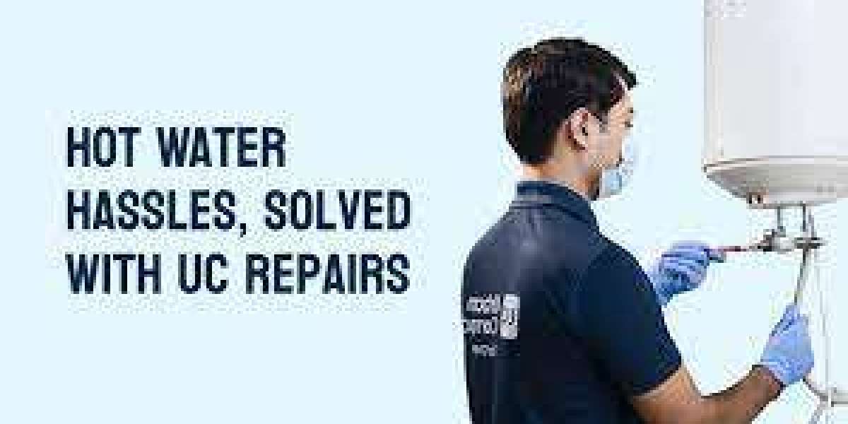 Ensuring a Steady Flow The Importance of Geyser Repair Services