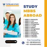 Study Abroad Profile Picture