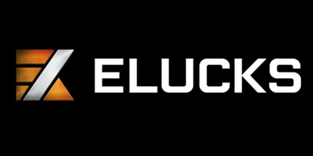 Empowering the Future - ELUCKS and the Evolution of Financial Transactions