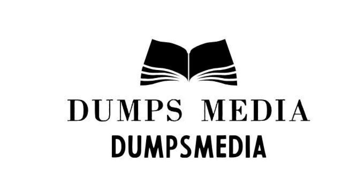 The Art of Information: Dumps Media