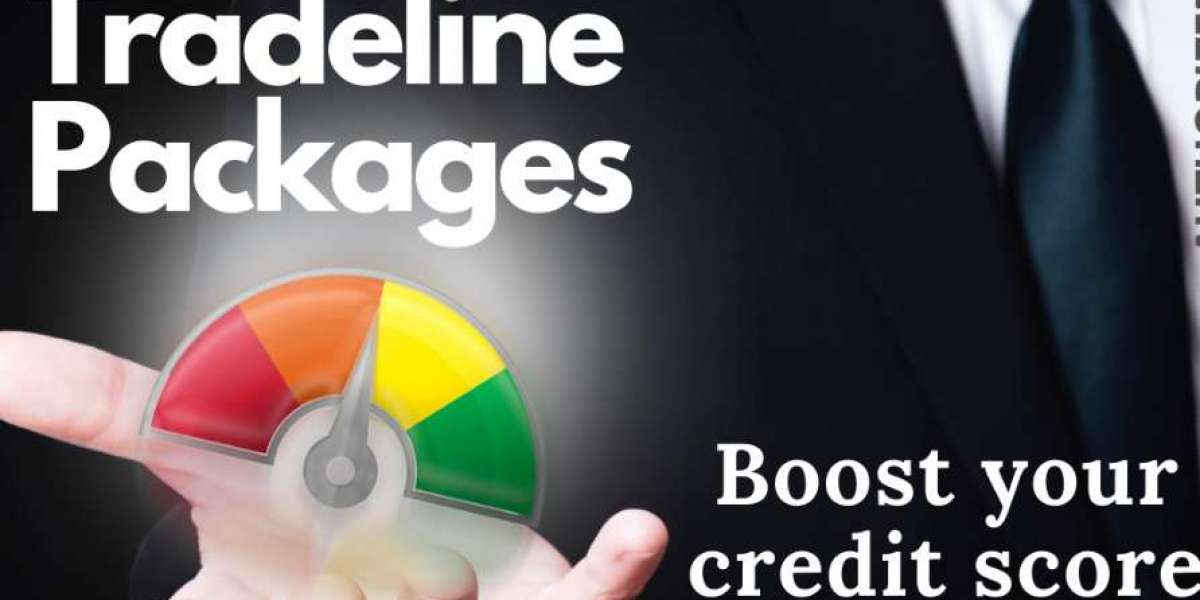 Enhance Your Credit Score with Customized Tradeline Packages