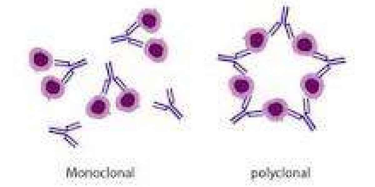 Polyclonal Antibodies Market is Anticipated to Register  7.01%CAGR through 2031