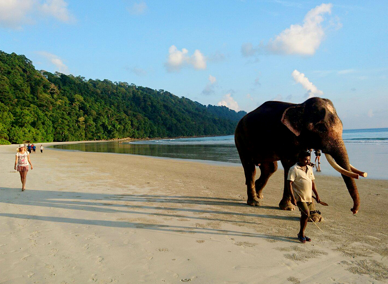 Andaman Tour Package From M****rai