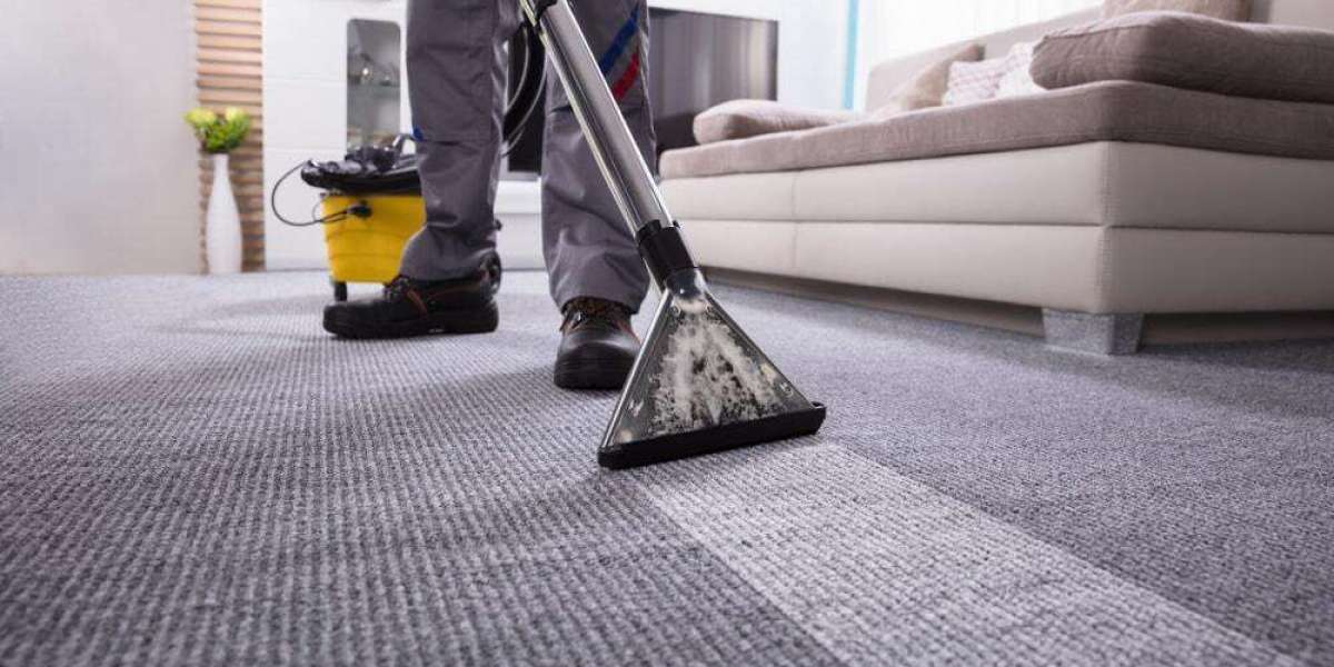 Promoting Wellness: Regular Carpet Cleaning Practices