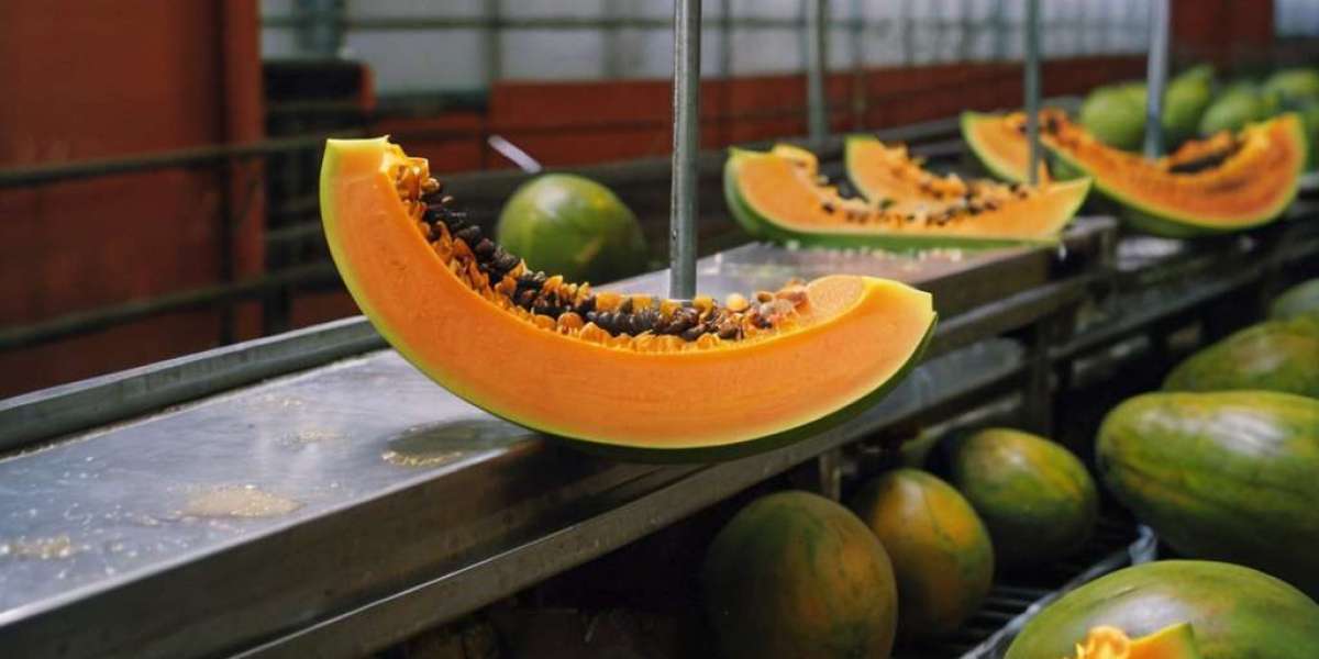 Setting up a Papaya Processing Plant: Project Report 2024 Edition