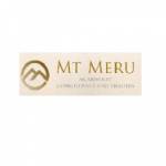 Mt Meru Consultants Profile Picture