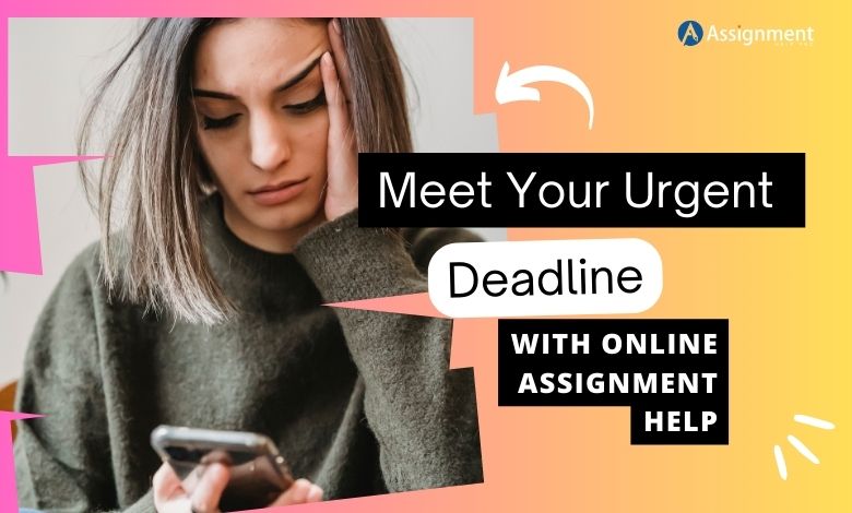 Meet Your Urgent Deadline With Online Assignment Help : jackhead418 — LiveJournal