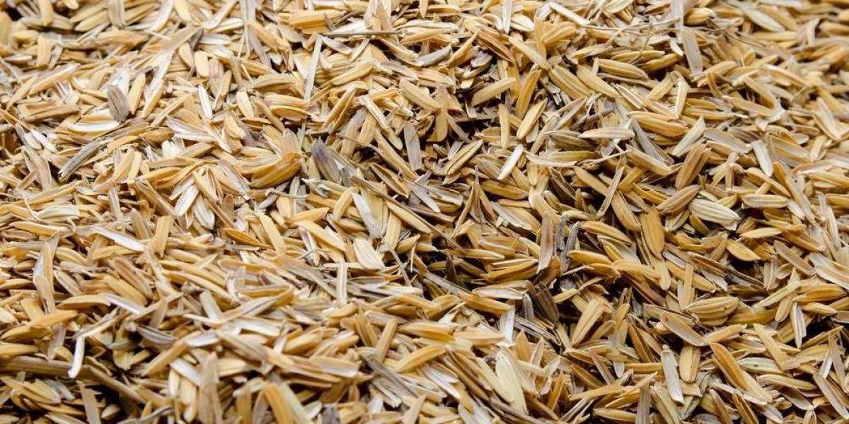 Project Report 2024: Setting up a Rice Husk Ash Manufacturing Plant