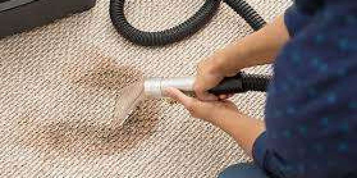 Why Professional Carpet Cleaning is a Smart Investment for Homeowners