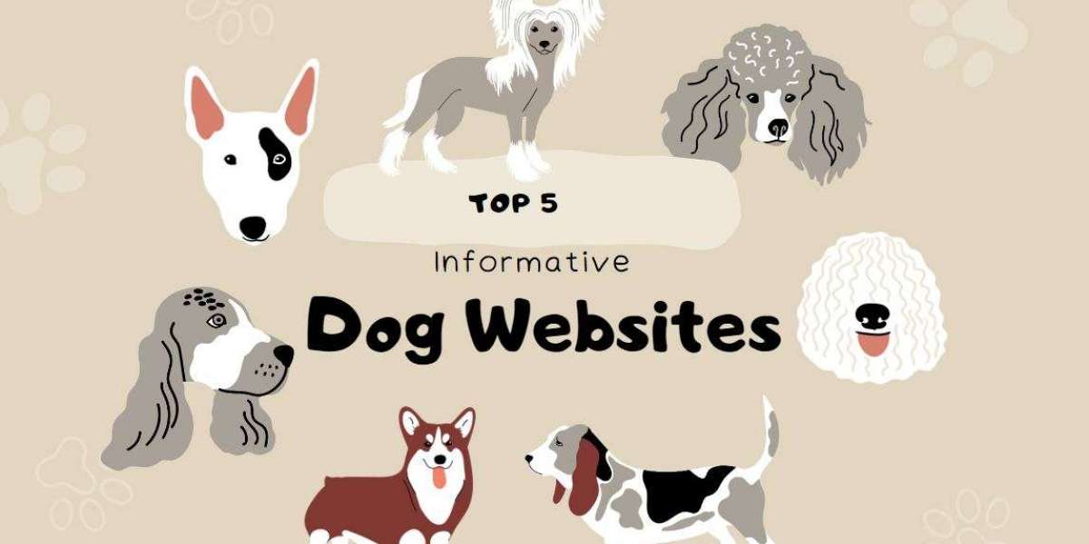 The Top 5 Most Informative Dog Websites of 2024