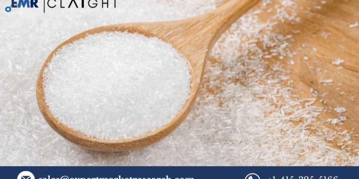 Monosodium Glutamate (MSG) Price Trend Analysis: Market Dynamics and Future Outlook