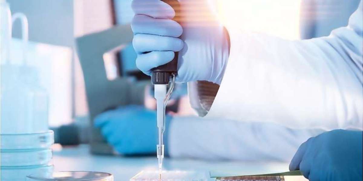 Global Clinical Diagnostics Market | Share | Size | Analysis | Growth | Reports | Forecast | 2024 - 2032