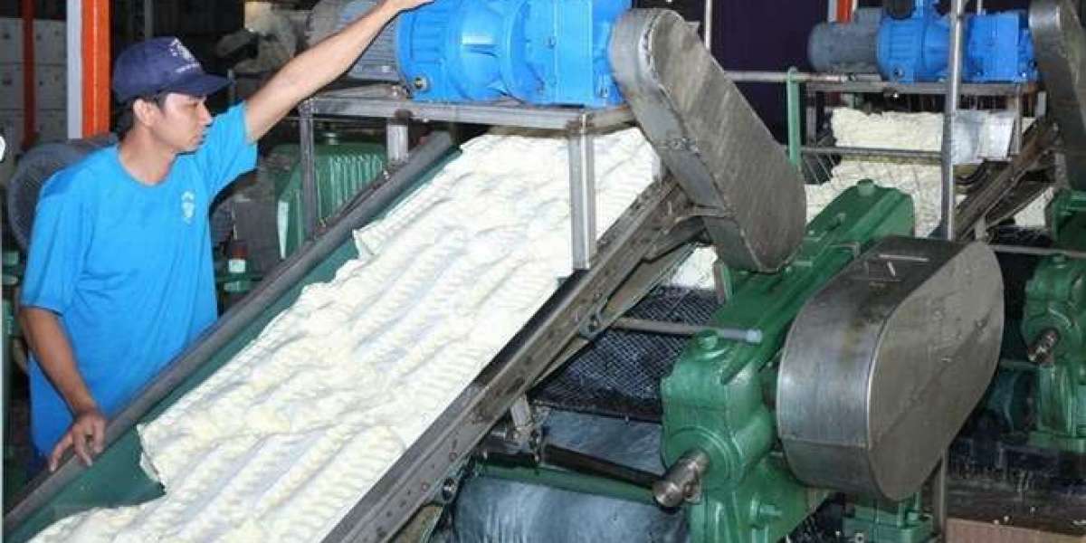 Rubber Processing Plant Report 2024: Unit Operations, Machinery Requirements and Cost Analysis