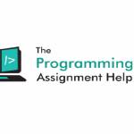 The Programming Assignment Help Profile Picture