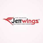 Jett Wings Profile Picture