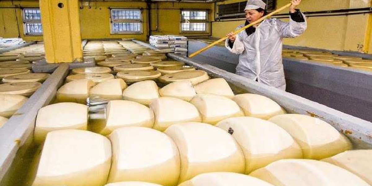 Cheese Manufacturing Plant Report 2024: Business Plan, Infrastructural Needs, Cost and Revenue