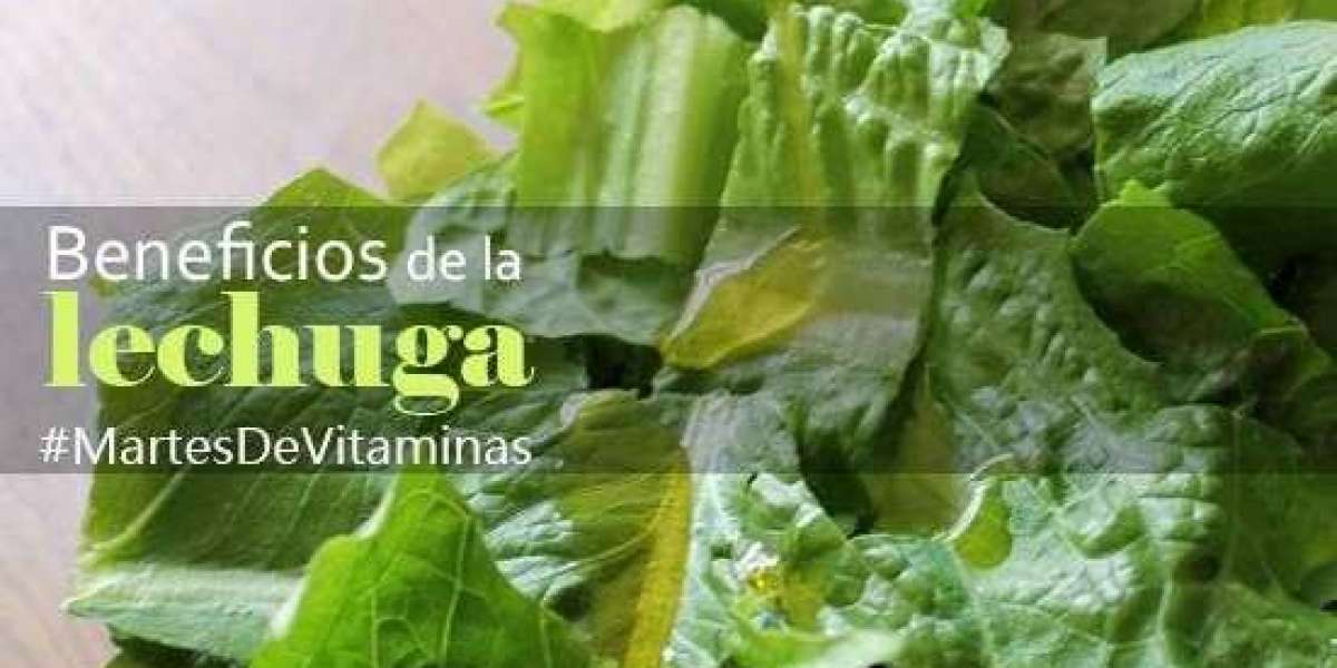 Biotina con Aceite de Germen de Trigo: Belleza y Salud desde el Interior