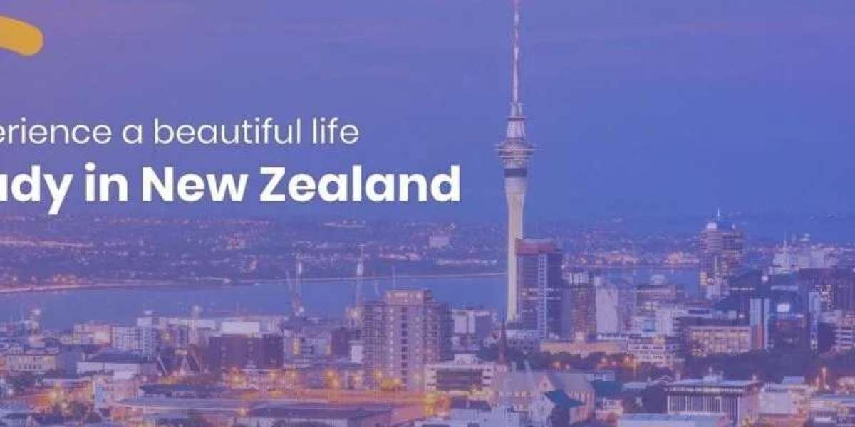 Top Reasons to Study in New Zealand